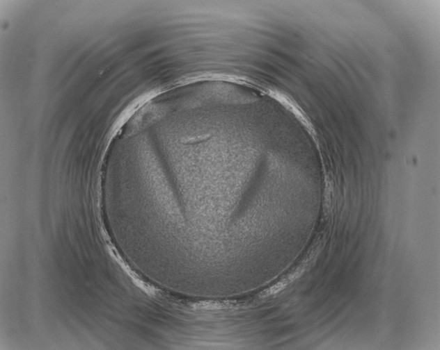 X0000085260898200703231712