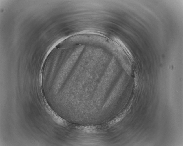 X0000085260900200703231712