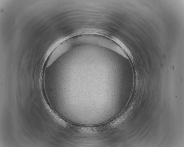 X0000085260901200703231712