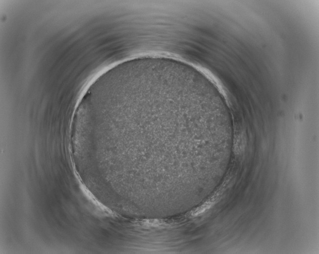 X0000085260903200703231712