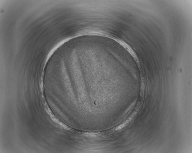 X0000085260904200703231712