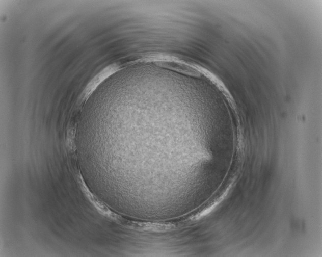 X0000085260905200703231712