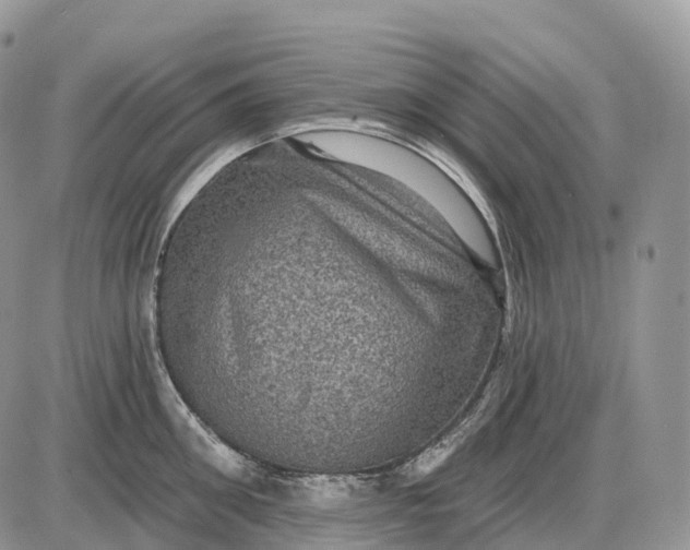 X0000085260906200703231712