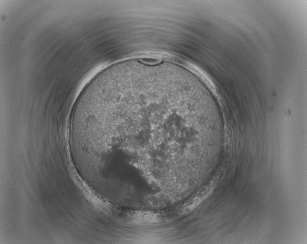 X0000085260907200703231712