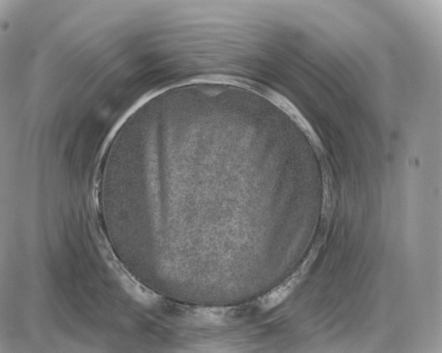 X0000085260908200703231712