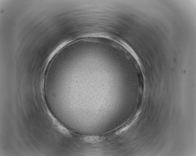 X0000085260909200703231712