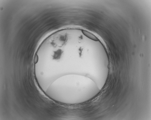 X0000085260911200703231712