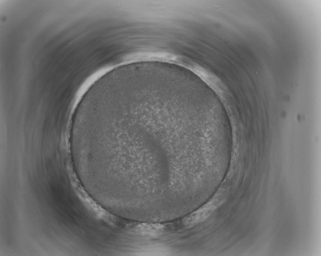 X0000085260912200703231712