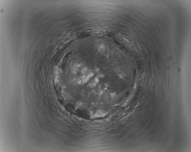 X0000085260913200703231711