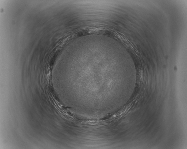 X0000085260914200703231711