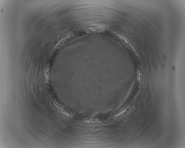 X0000085260915200703231711