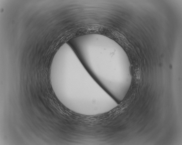 X0000085260916200703231711