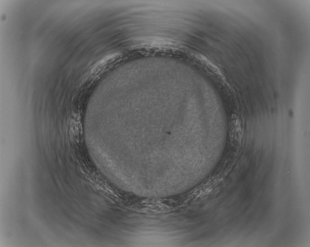 X0000085260918200703231711