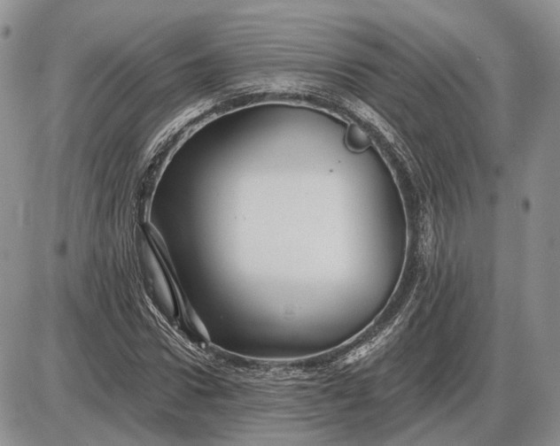 X0000085260922200703231711