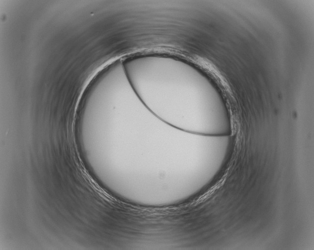 X0000085260924200703231711