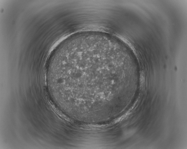 X0000085260925200703231711