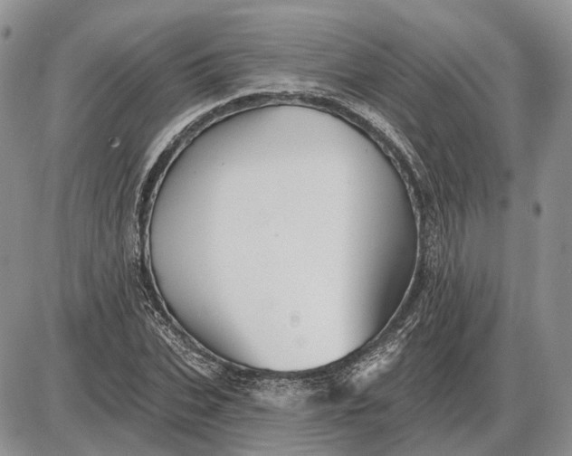 X0000085260927200703231711