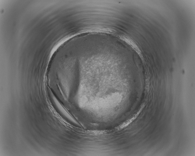 X0000085260928200703231711