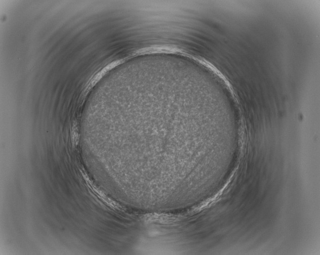 X0000085260929200703231711