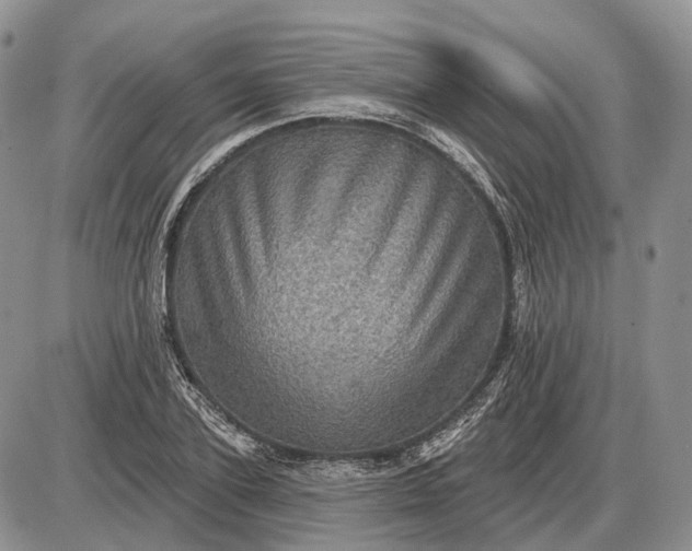 X0000085260931200703231711