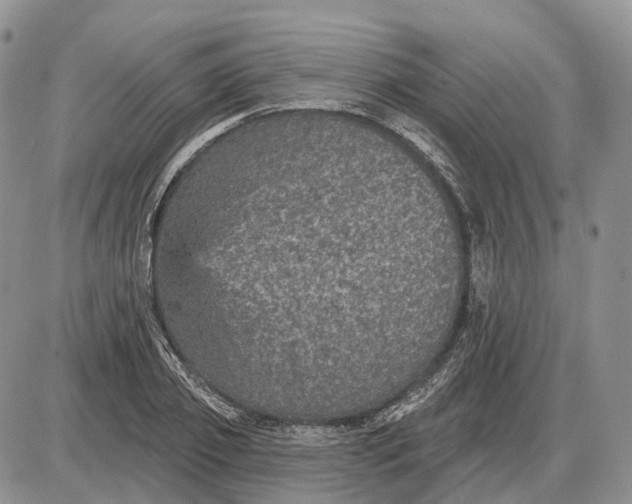 X0000085260933200703231711