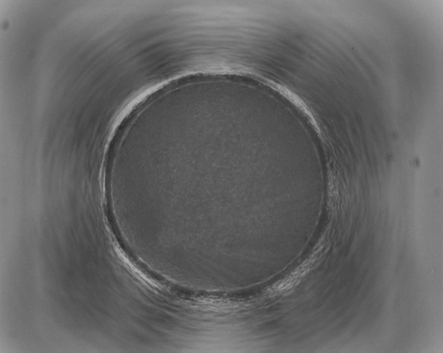 X0000085260935200703231711