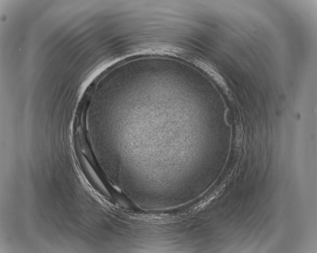 X0000085260936200703231711