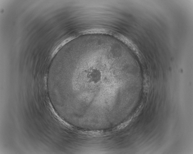 X0000085260937200703231712