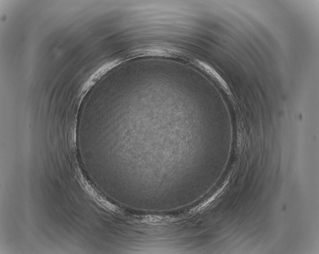 X0000085260938200703231712