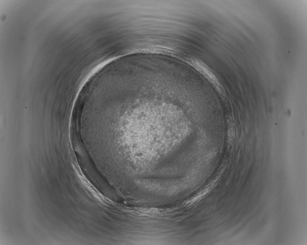 X0000085260940200703231712