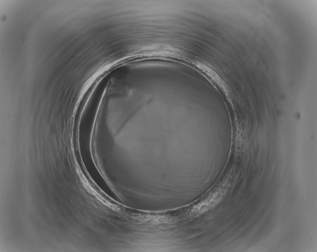 X0000085260941200703231712