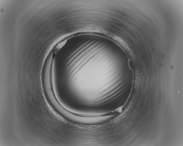 X0000085260942200703231712