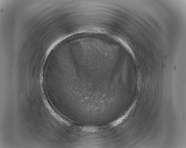 X0000085260944200703231712