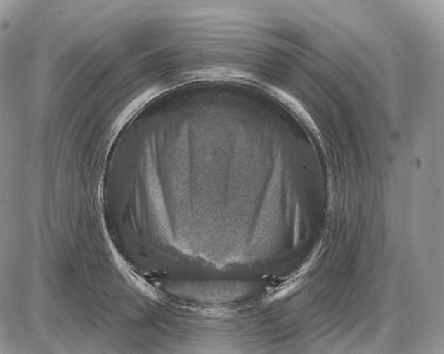 X0000085260946200703231712