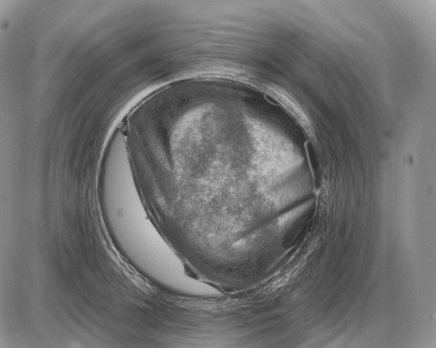 X0000085260948200703231712