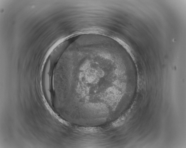 X0000085260949200703231712