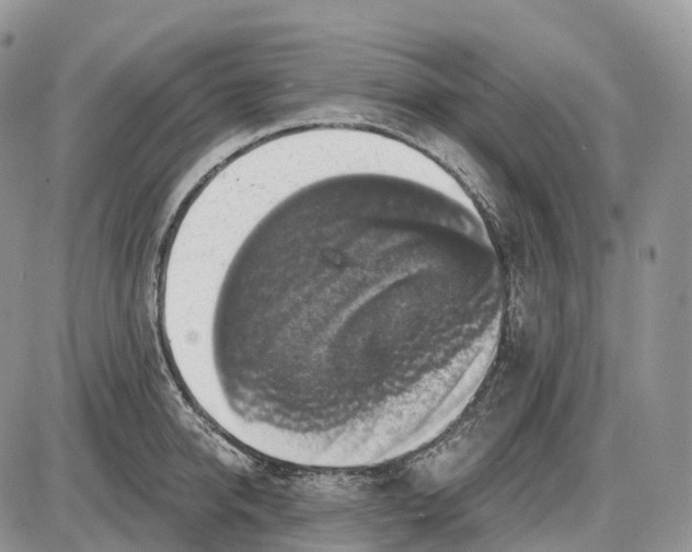 X0000085260950200703231712