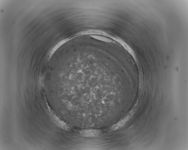 X0000085260953200703231712