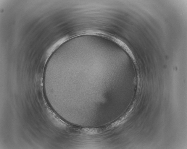 X0000085260954200703231712