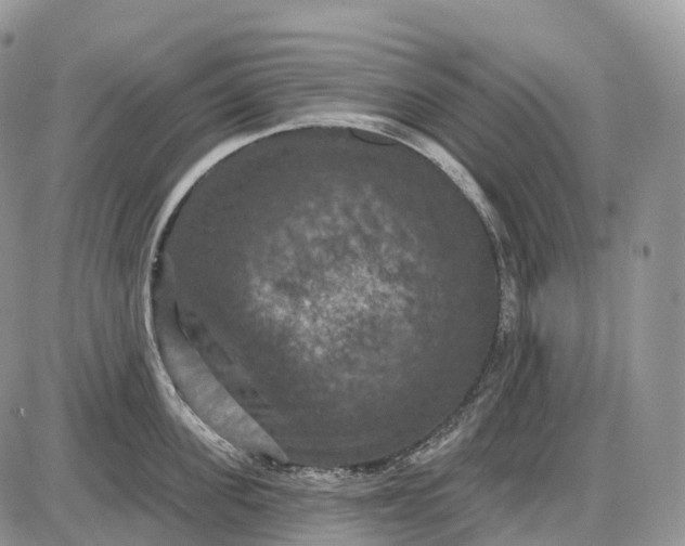 X0000085260955200703231712