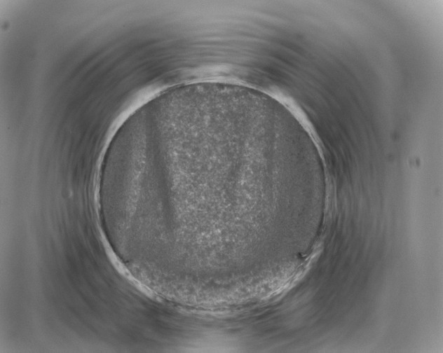 X0000085260957200703231712