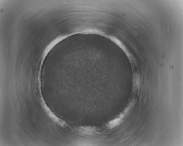 X0000085260959200703231712