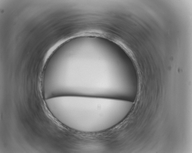 X0000085260960200703231712