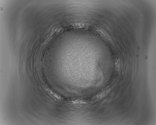 X0000085260961200703231711