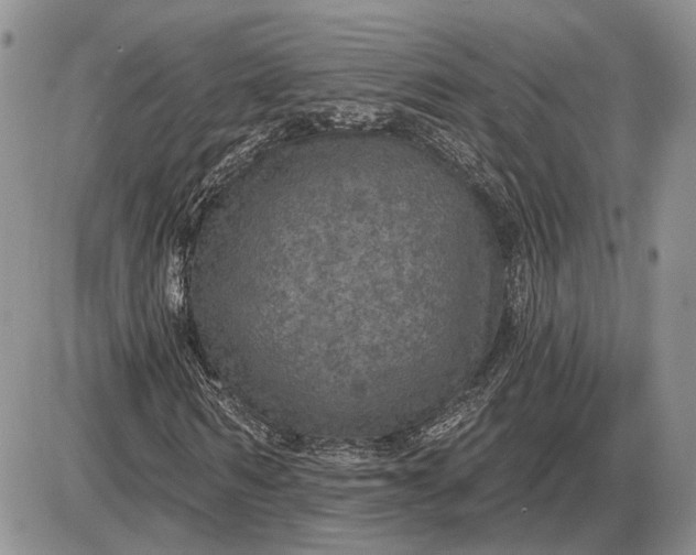 X0000085260962200703231711