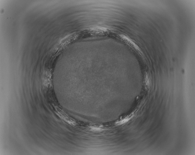 X0000085260964200703231711