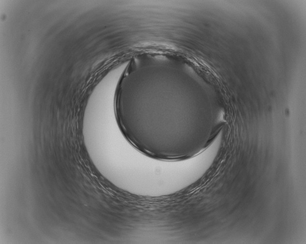 X0000085260965200703231711