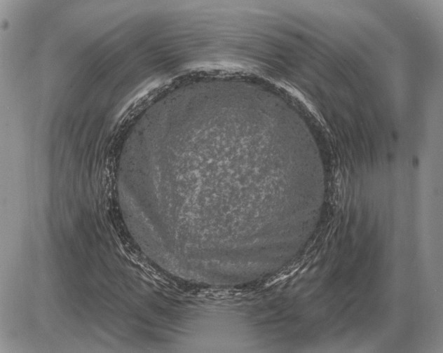 X0000085260967200703231711