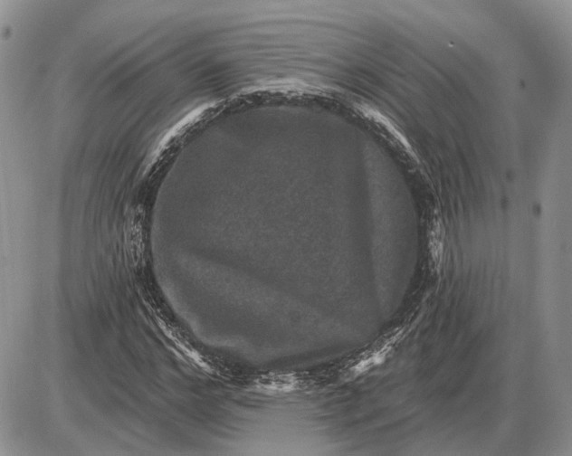 X0000085260968200703231711