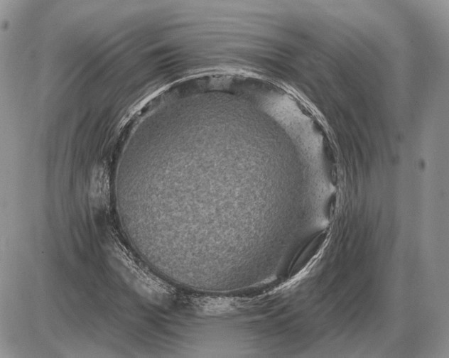 X0000085260969200703231711